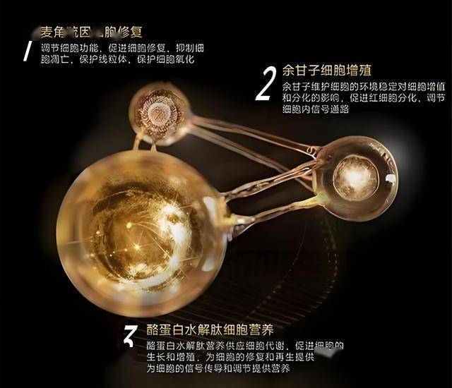 股市新手面临挑战，掌握这些股票交易技巧能让你如虎添翼吗？